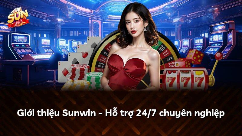 Giới thiệu Sunwin - Hỗ trợ 24/7 chuyên nghiệp